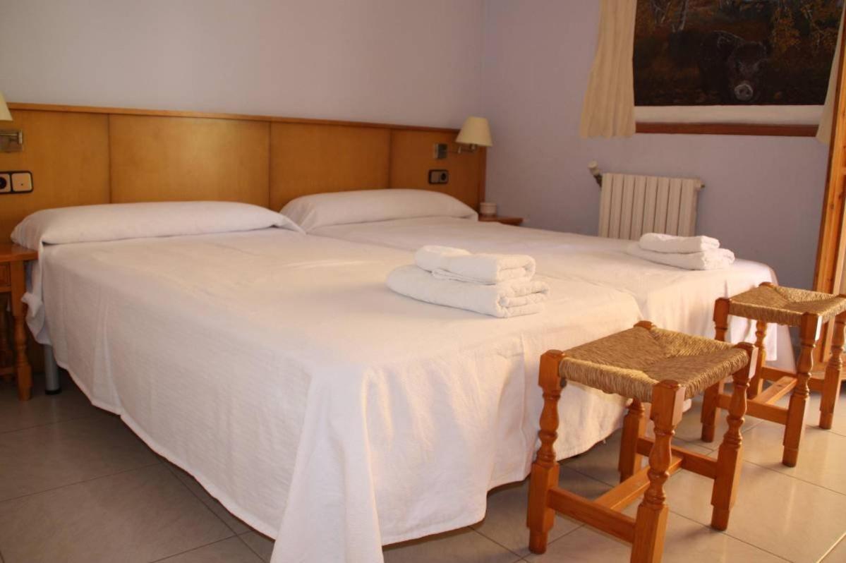Hotel Casa Domenc Aren エクステリア 写真